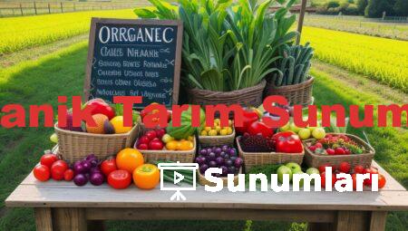 Organik Tarım Sunumları