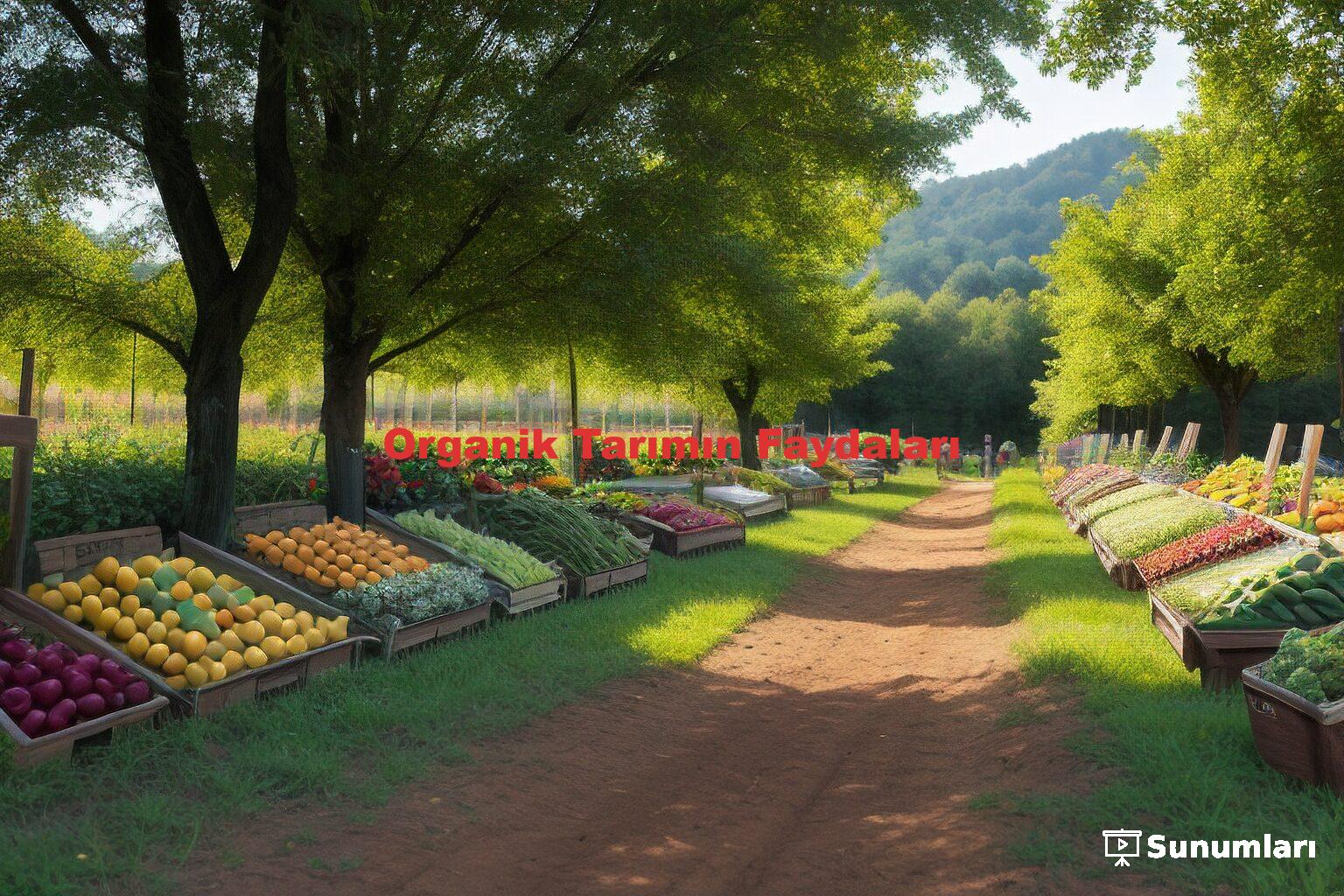 Organik Tarımın Faydaları