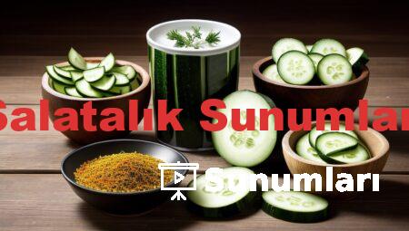 Salatalık Sunumları