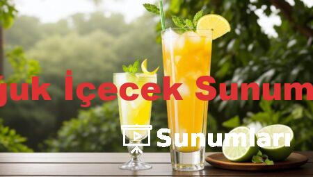 Soğuk İçecek Sunumları