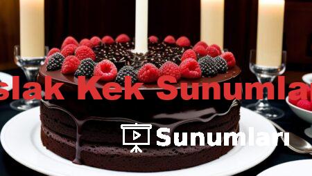 Islak Kek Sunumları