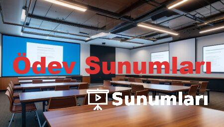 Ödev Sunumları