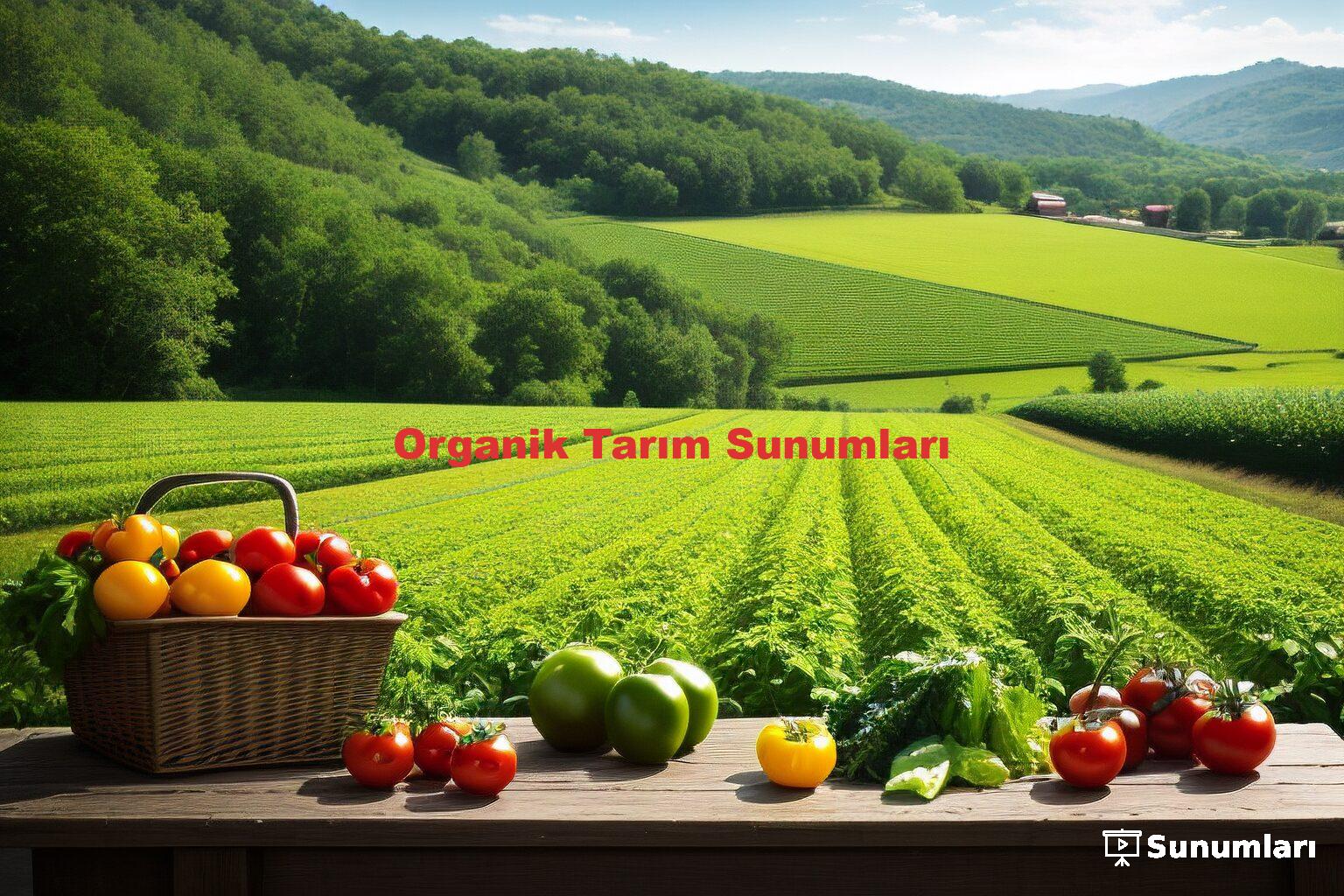 Organik Tarım Sunumları