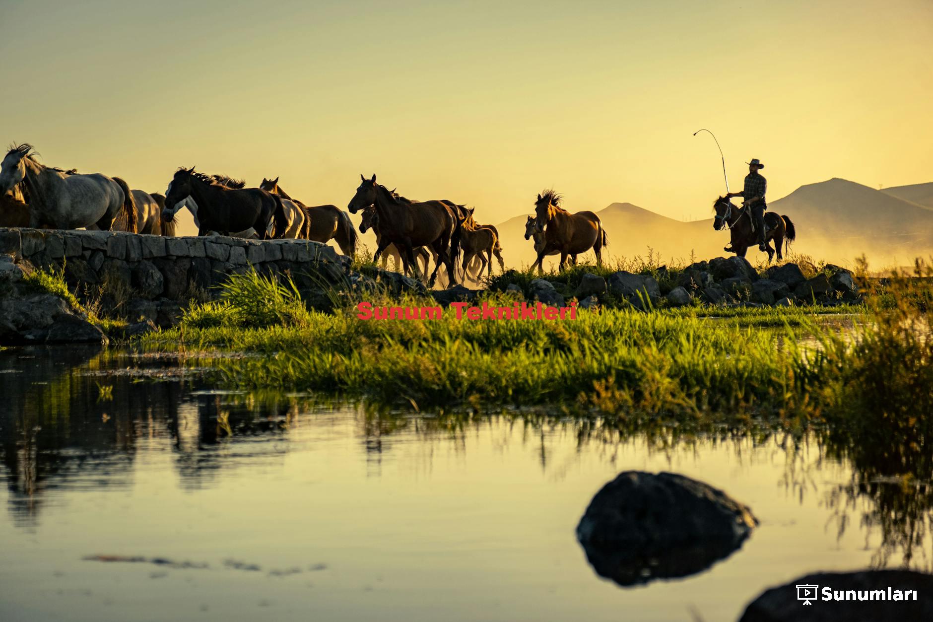 Sunum Teknikleri