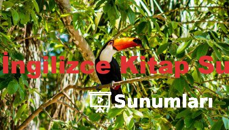 7. Sınıf İngilizce Kitap Sunumları