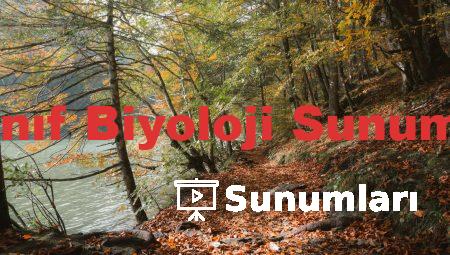 9 Sınıf Biyoloji Sunumları