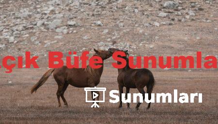 Açık Büfe Sunumları