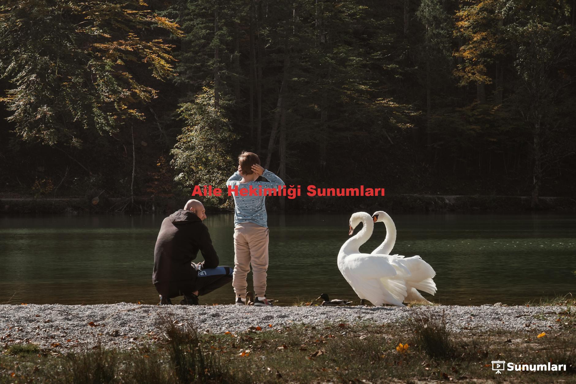 Aile Hekimliği Sunumları