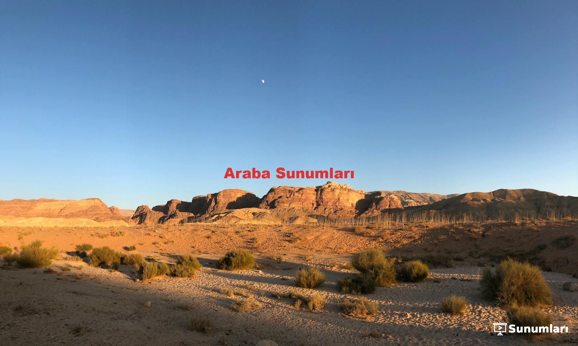 Araba Sunumları