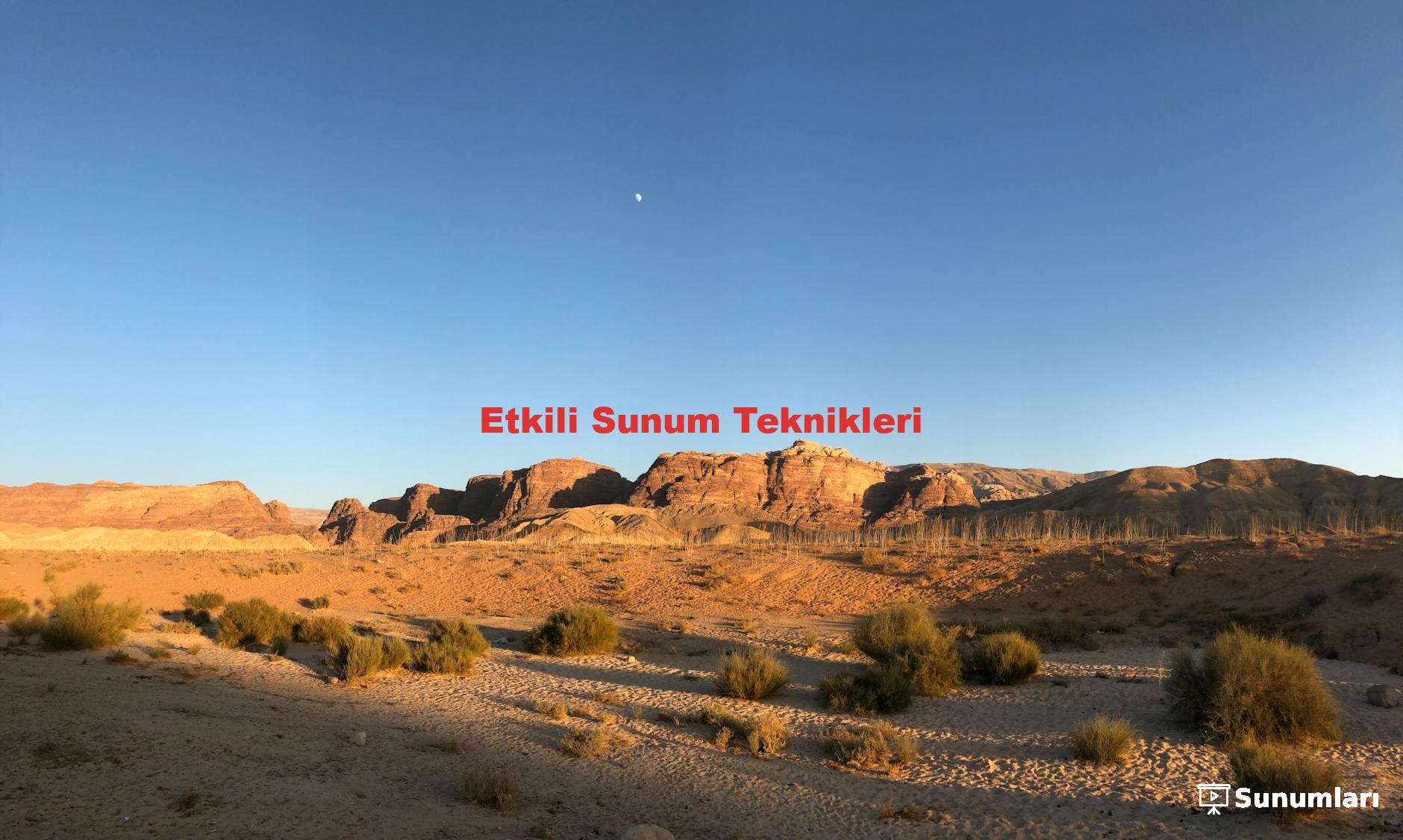 Etkili Sunum Teknikleri