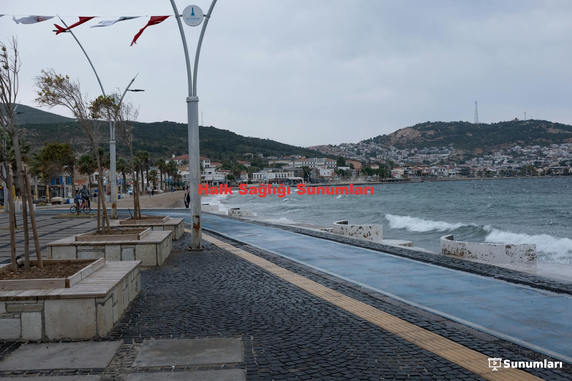 Halk Sağlığı Sunumları