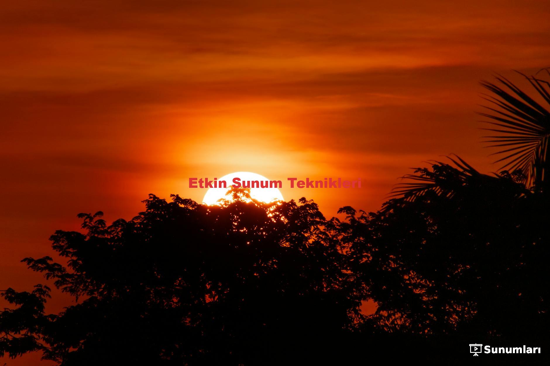Etkin Sunum Teknikleri