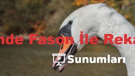 Kozmetik Üretiminde Fason İle Rekabeti Geride Bırak