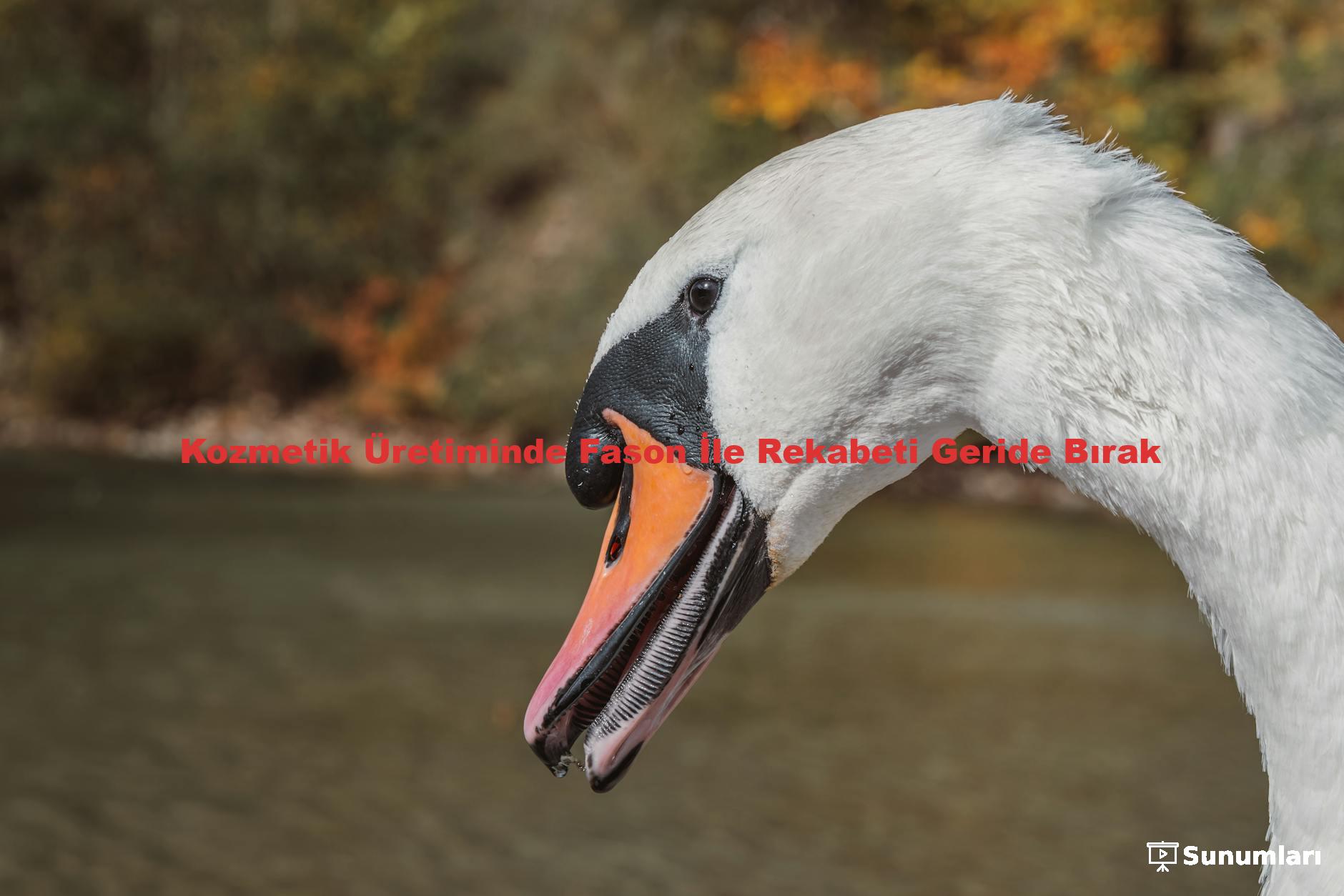 Kozmetik Üretiminde Fason İle Rekabeti Geride Bırak