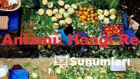 Almanca Renklerin Anlamı: Hangi Renk Ne İfade Ediyor?