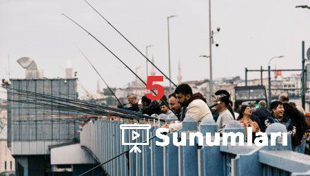 Devlet Sitesi: Alkol Fiyatlarını Öğrenmenin Yolu